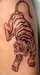 Tattoos - black and grey tiger tattoo - 48445